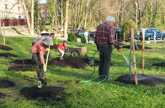 image of Spring Clean Up—Tulpenhocken Train Station Garden and Orchard