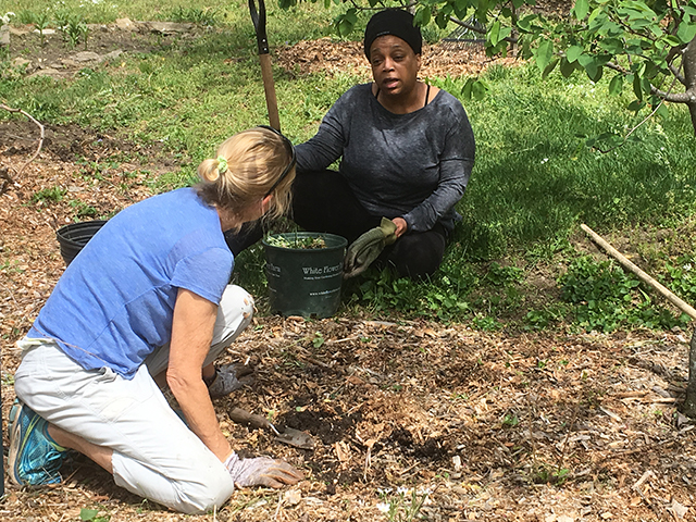 Image of Spring Clean Up 2018