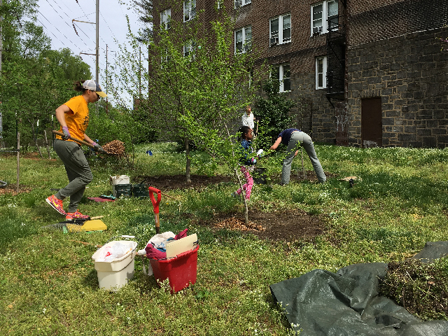 Image of Tulpehocken Station Garden