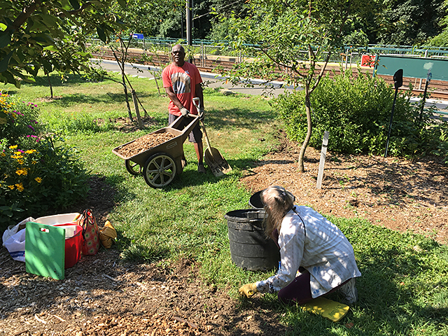 image of neighbors working in the garden