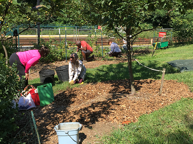 Image of neighbors mulching garden.