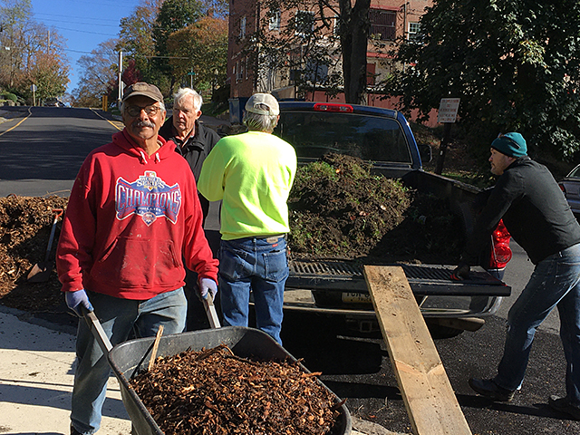 WCGN volunteer in garden