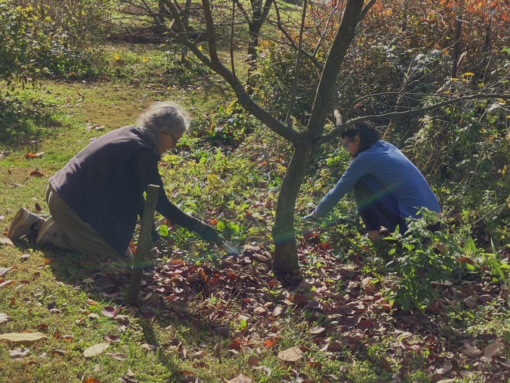 working in garden